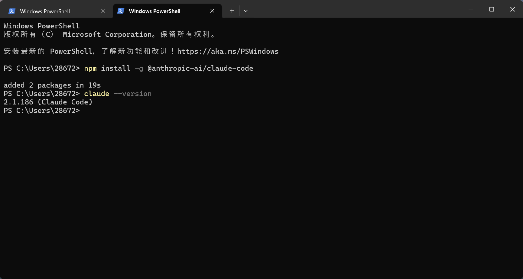 npm 安装及 Claude Code 版本号示例